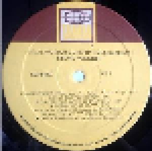 Stevie Wonder: Musiquarium (2-LP) - Bild 4