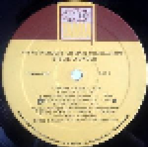Stevie Wonder: Musiquarium (2-LP) - Bild 5