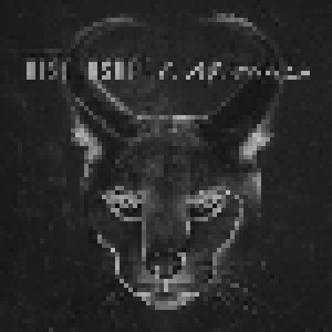 Cover - Disclosure: Caracal