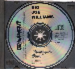 Big Joe Williams: Watergate Blues (CD) - Bild 4