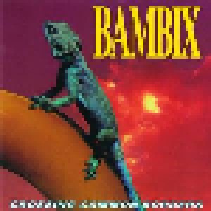 Bambix: Crossing Common Borders (LP) - Bild 1