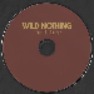 Wild Nothing: Life Of Pause (CD) - Bild 5