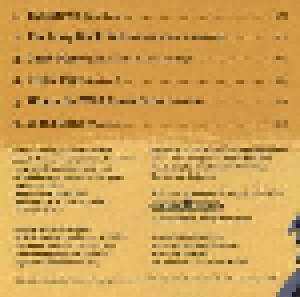 The Blue Grass Boogiemen With Erik Kriek: In The Pines (Mini-CD / EP) - Bild 2