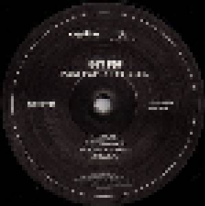 Iggy Pop: Post Pop Depression (LP) - Bild 6