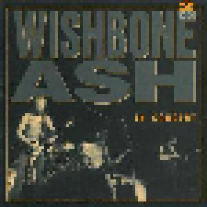 Wishbone Ash: In Concert - Cover