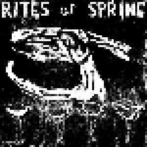 Rites Of Spring: Rites Of Spring (LP) - Bild 1