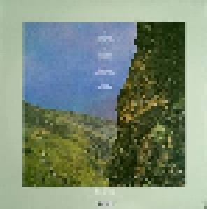 Black Mountain: IV (2-LP) - Bild 2