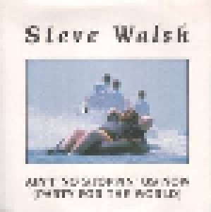 Steve Walsh: Ain't No Stoppin' Us Now (Party For The World) (12") - Bild 1