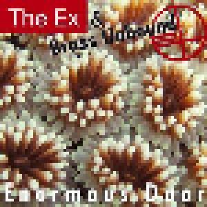 The Ex & Brass Unbound: Enormous Door - Cover
