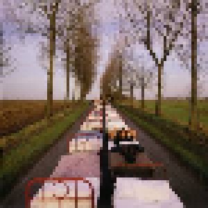 Pink Floyd: A Momentary Lapse Of Reason (CD) - Bild 6