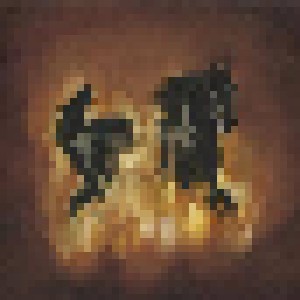Cover - Besnard Lakes, The: Besnard Lakes Are The Dark Horse, The