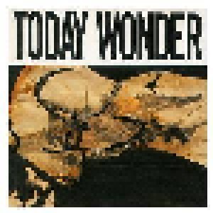 Ed Kuepper: Today Wonder (CD) - Bild 1