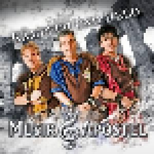 Cover - MusikApostel: Kämpfer Und Held
