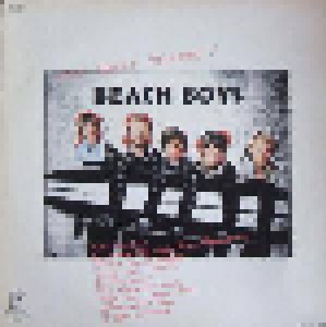 The Beach Boys: Wow! Great Concert (LP) - Bild 1