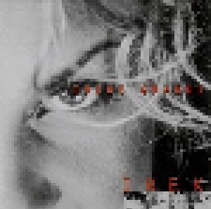 Irene Grandi: Irek (CD) - Bild 1