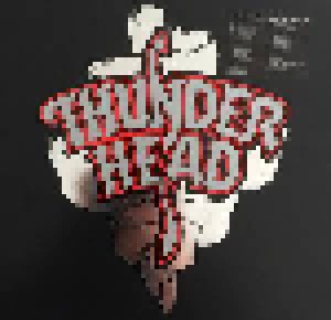 Thunderhead: Busted At The Border (LP) - Bild 1