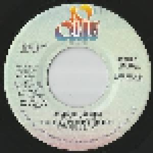 The Alan Parsons Project: To One In Paradise (Promo-7") - Bild 1