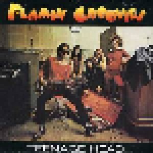 The Flamin' Groovies: Teenage Head (LP) - Bild 1
