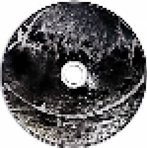 Asgrauw: Krater (CD) - Bild 9