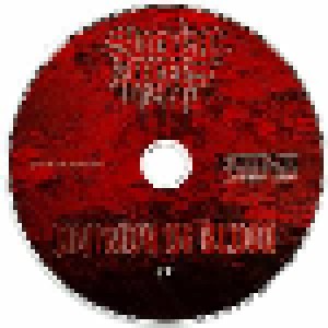 Suicidal Angels: Division Of Blood (CD + DVD) - Bild 3