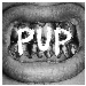 PUP: Pup (CD) - Bild 1