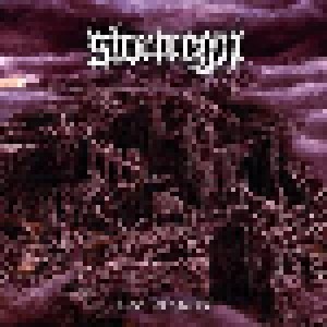 Cover - Stortregn: Singularity