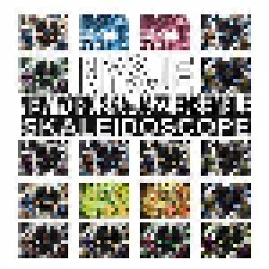 New York Ska-Jazz Ensemble: Skaleidoscope (LP) - Bild 1