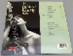 Al Di Meola: Kiss My Axe (2-LP) - Bild 2