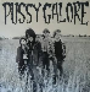Pussy Galore: Groovy Hate Fuck (LP) - Bild 1
