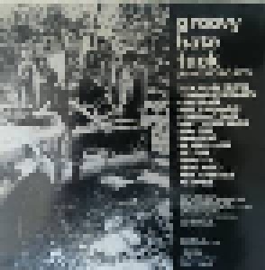 Pussy Galore: Groovy Hate Fuck (LP) - Bild 2