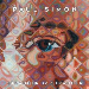 Paul Simon: Stranger To Stranger (CD) - Bild 1