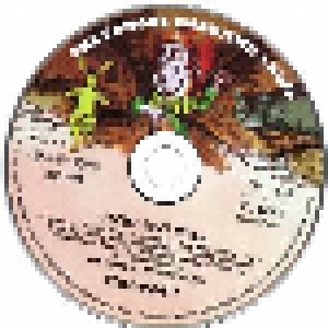 Steve Hackett: Please Don't Touch (2-CD + DVD-Audio) - Bild 4