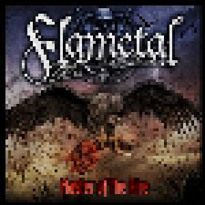 Cover - Flametal: Master Of The Aire