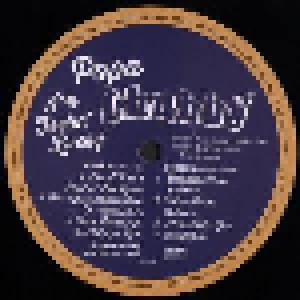 Popa Chubby: I'm Feelin' Lucky (2-LP) - Bild 5