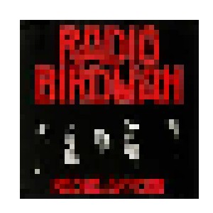 Radio Birdman: Under The Ashes (4-LP + 2-12" + 7") - Bild 2