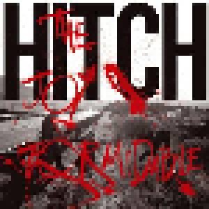 Cover - Joy Formidable, The: Hitch