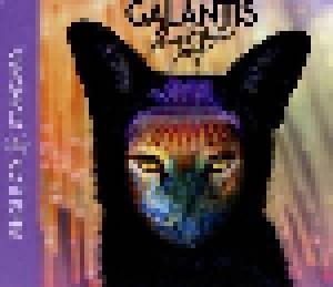 Cover - Galantis: Peanut Butter Jelly