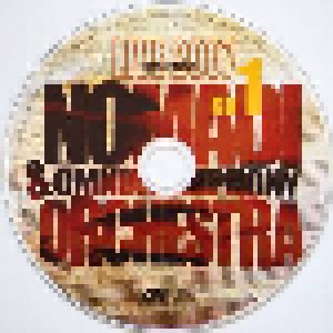 I Nomadi: Nomadi & Omnia Symphony Orchestra Live 2007 (2-CD) - Bild 4