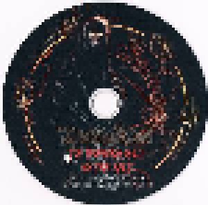 Diabolos Dust: Promo EP (Promo-CD) - Bild 3
