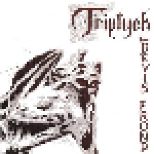 The Bevis Frond: Triptych (CD) - Bild 1