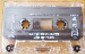 Alice In Chains: Jar Of Flies (Tape-EP) - Bild 5