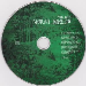 Norah Jones: The Fall (CD + Mini-CD / EP) - Bild 3