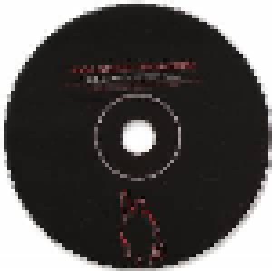 Rage Against The Machine: Sleep Now In The Fire (Single-CD) - Bild 2