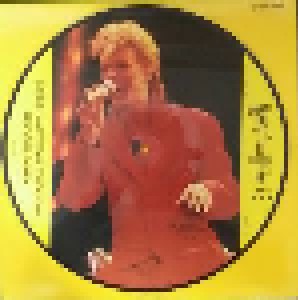 David Bowie: The Glass Spider Tour Press Conferences 1987 (PIC-LP) - Bild 2