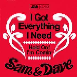 Sam & Dave: I Got Everything I Need - Cover