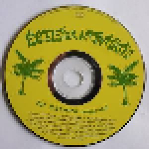 Excelsior Natvitatis: An Island Chris'mus (CD) - Bild 3