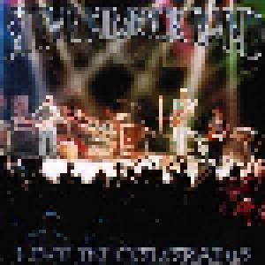 Steve Kimock Band: Live In Colorado - Cover