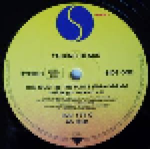 Talking Heads: This Must Be The Place (Naive Melody) (12") - Bild 3