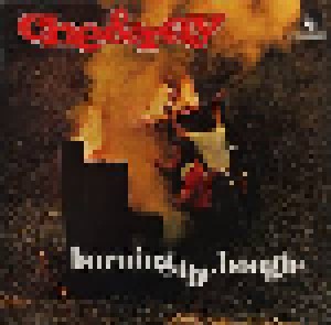 Che & Ray: Burning The Boogie (LP) - Bild 1