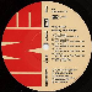 Che & Ray: Burning The Boogie (LP) - Bild 6